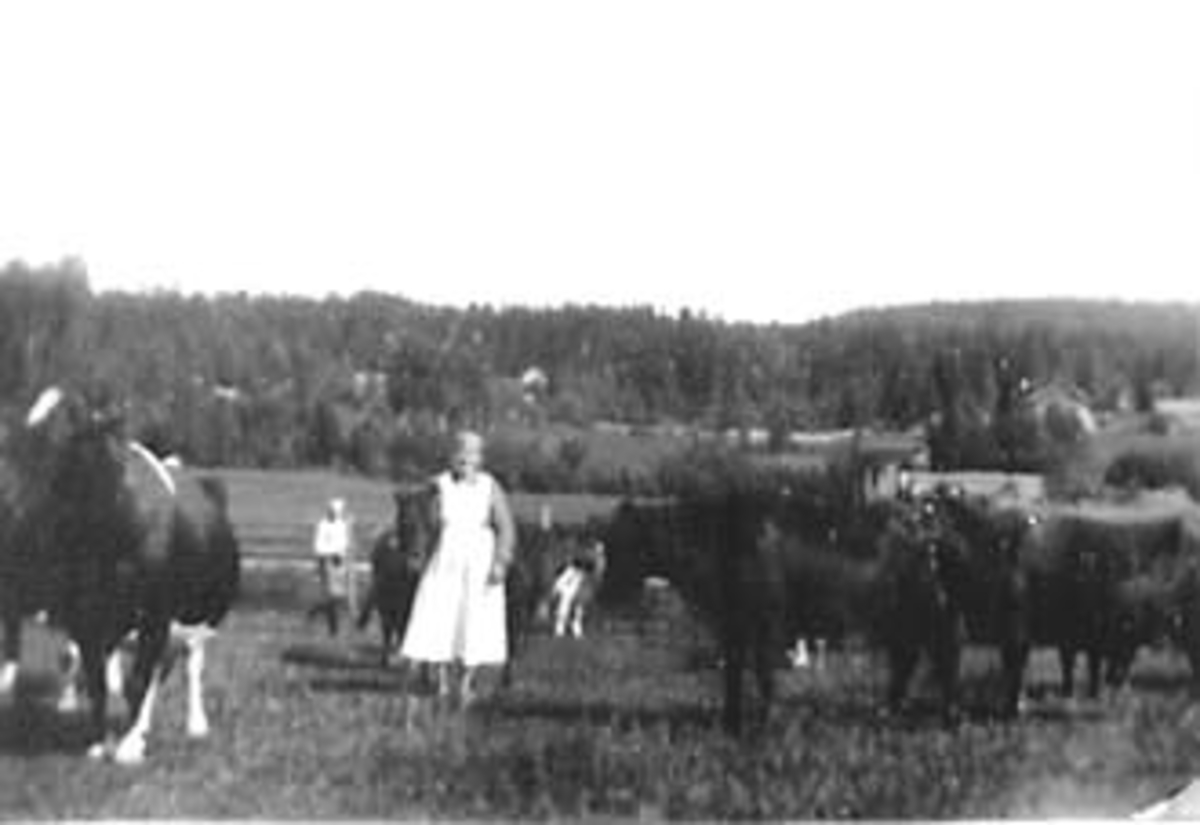 Anno Domkirkeodden, KUER BEITER, MARTHE LUNDEN, GUNNAR FILSETH BAK, FILSETH, ÅSVANG