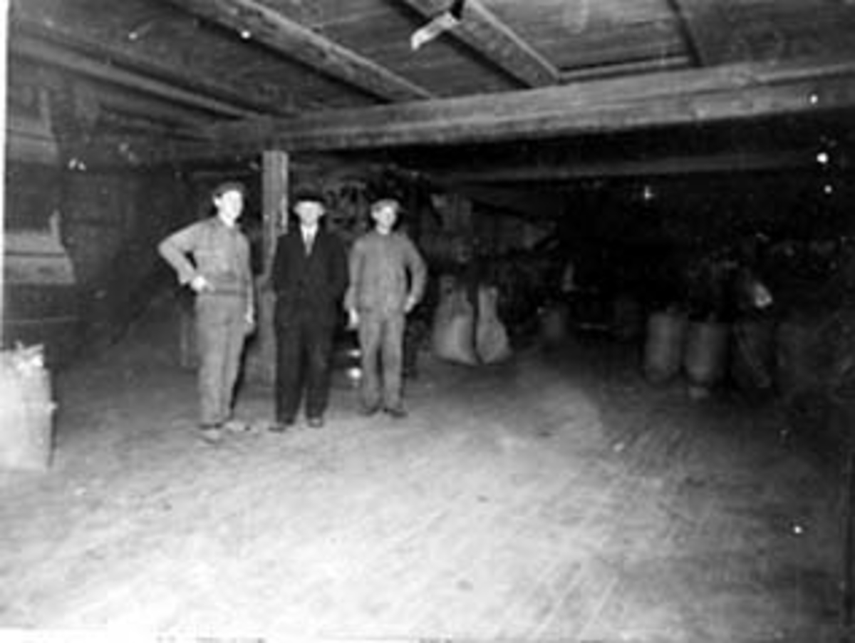 Anno Domkirkeodden, INTERIØR: FRØRENSERIET HOBERG GÅRD, GRUPPE: 3 MENN: UKJENT, OLE EKERN, NILS NYLUND, SEKKER, LÅVE, HOBERG ØSTRE