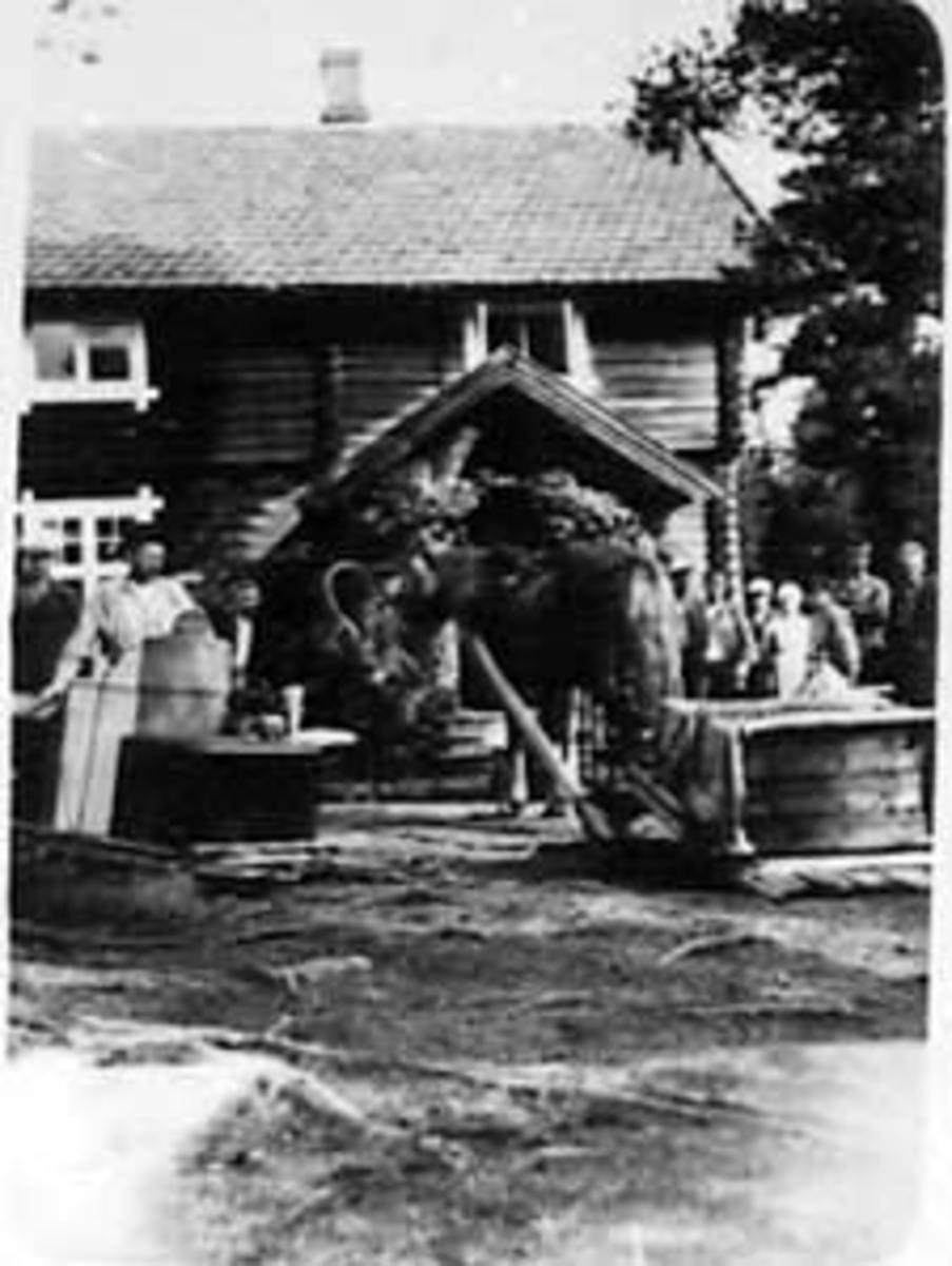 Anno Domkirkeodden, EKSTERIØR: HVITSANDEN SKOLE, LÆRERINNE ANNE DALEN FLYTTER, HEST MED FLYTTELASS, FOLK, VALLSET