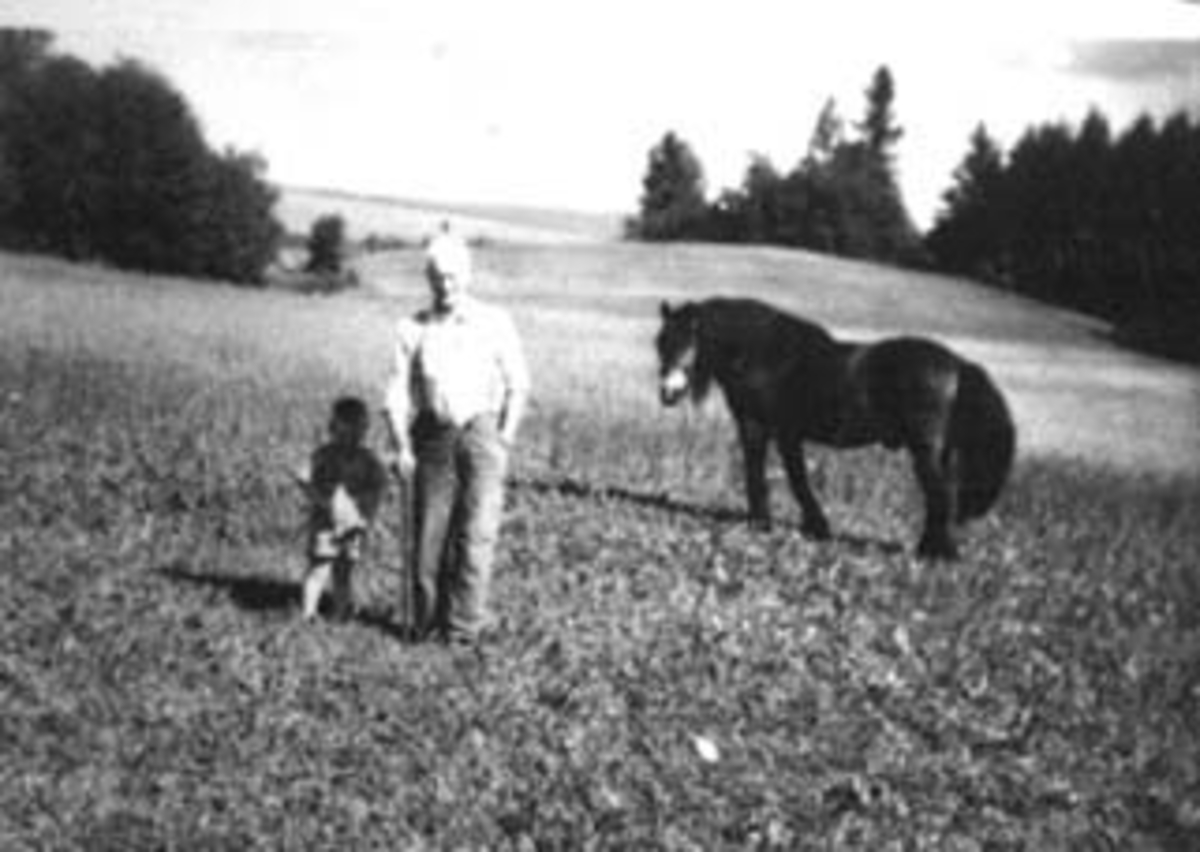 Anno Domkirkeodden, SIGURD EVENSEN OG DATTERSØNN SIGURD GUDMUND LØLAND, HESTEN BLESSEN, STENSBY, LUNDSTUEN