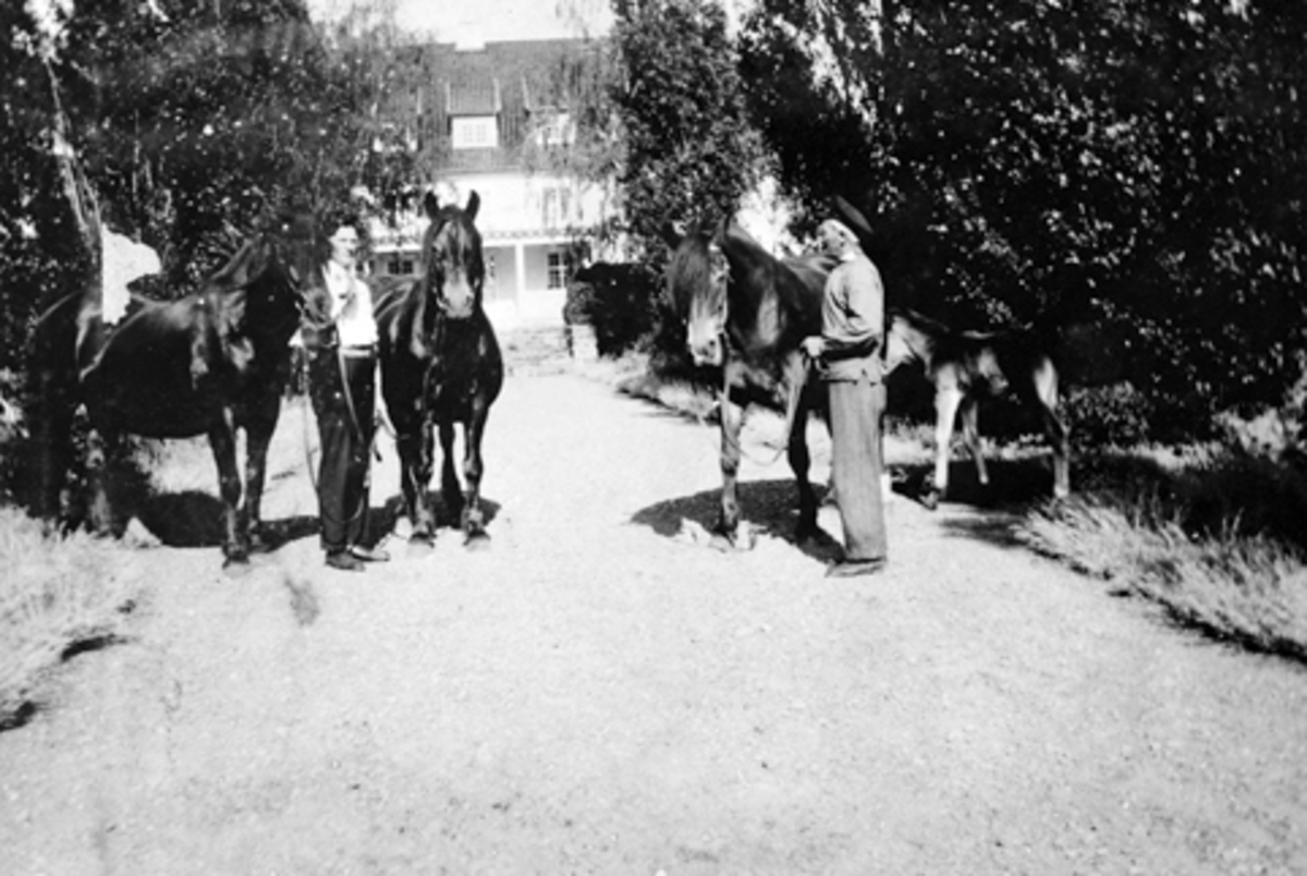 Anno Domkirkeodden, STAUR GARD, STANGE, TO UKJENTE MENN MED HESTER