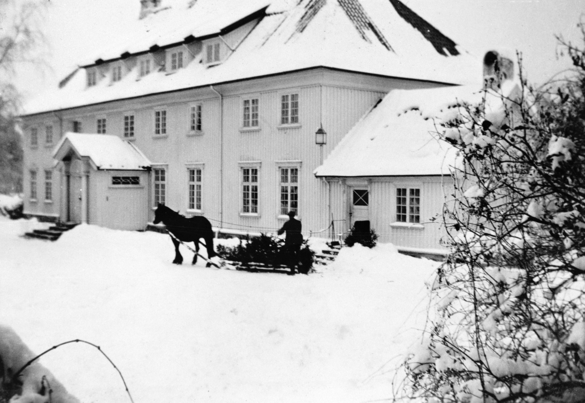 Anno Domkirkeodden, STAUR GARD, HOVEDBYGNINGEN, HEST OG SLEDE, UKJENT MANN, JULETRE, 1935