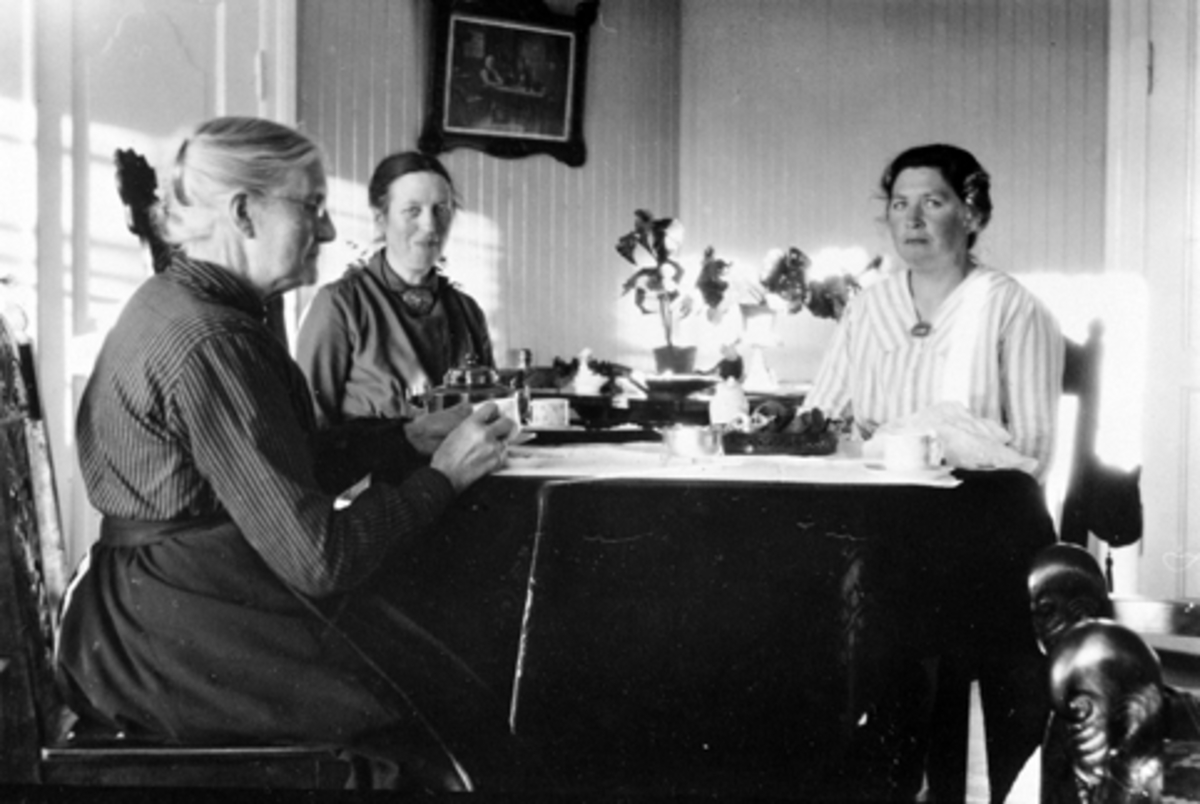Anno Domkirkeodden, OTTESTAD GARD, STANGE, INTERIØR, F. V. THOROLINE GJESTVANG, UKJENT OG DORTHEA MELBY SAMLET RUNDT BORD, DRIKKER KAFFE, 1935