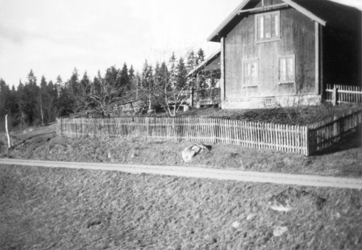 Anno Domkirkeodden, HERSJØVANGEN. VEG TIL GAMMELSAGA I FORGRUNNEN.