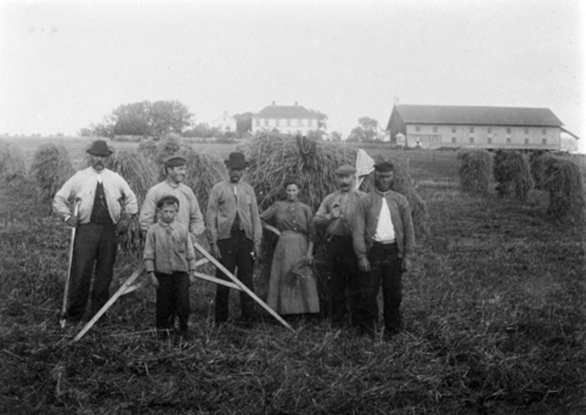 Anno Domkirkeodden, REKSTAD GARD, GARDSARBEIDERE FORAN RUGSNES CA. 1910. F. V. KRISTIAN RØNNINGEN, OLE KRISTIANSEN, HALVOR KRISTIANSEN, NILS OLAI HANSEN, MATHEA UKJENT ETTERNAVN, GARDBRUKER BERNT R. PAULSEN, OG LAURTIZ FREDRIKSEN.