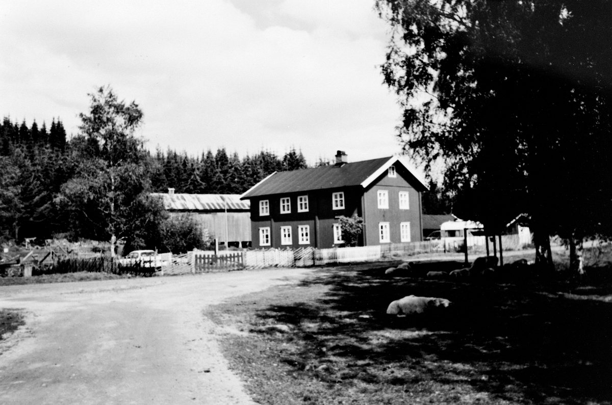 Anno Domkirkeodden, GAMMELSAGA I STANGE ALMENNING