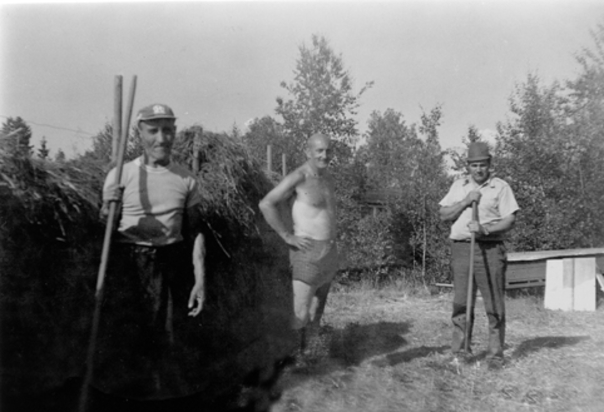 Anno Domkirkeodden, SLÅTTONN PÅ ILSENG. F. V. ASBJØRN JENSEN, JOHNNY GORDON FREDRIKSEN OG ODD JENSEN