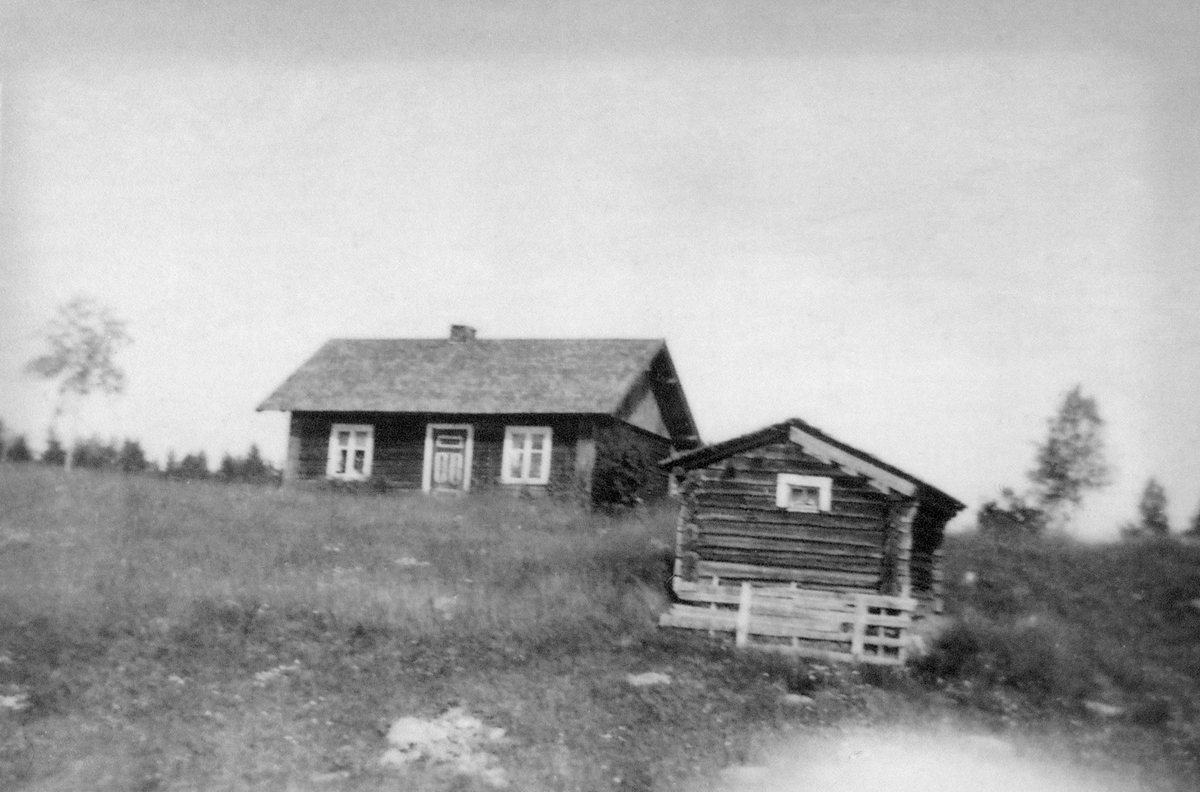 Anno Domkirkeodden, GRÅBERGSHAUGEN I ROMEDAL, G. NR. 62 BR. NR 1