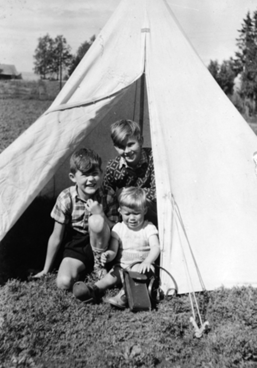 Anno Domkirkeodden, BARN I TELTÅPNING CA. 1953. JAN ERIK BJØRSETH, JAN ERIK SØSVEEN, OG KJELL BJØRSETH