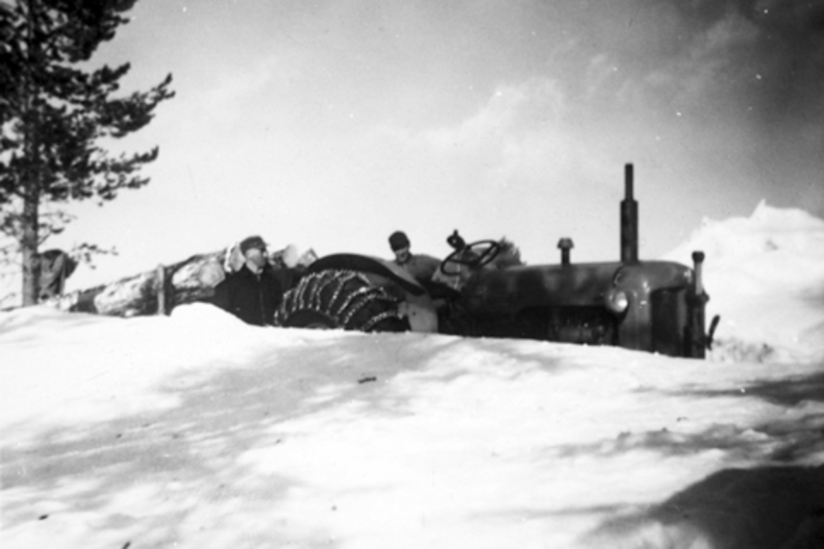 Anno Domkirkeodden, TØMMERKJØRING MED TRAKTOR I STANGE ALMENNING. SNØVINTER I 1950- ÅRENE. PAUL OG EIVIND HEGGELUND. Traktoren er en Fordson Major ca 1955