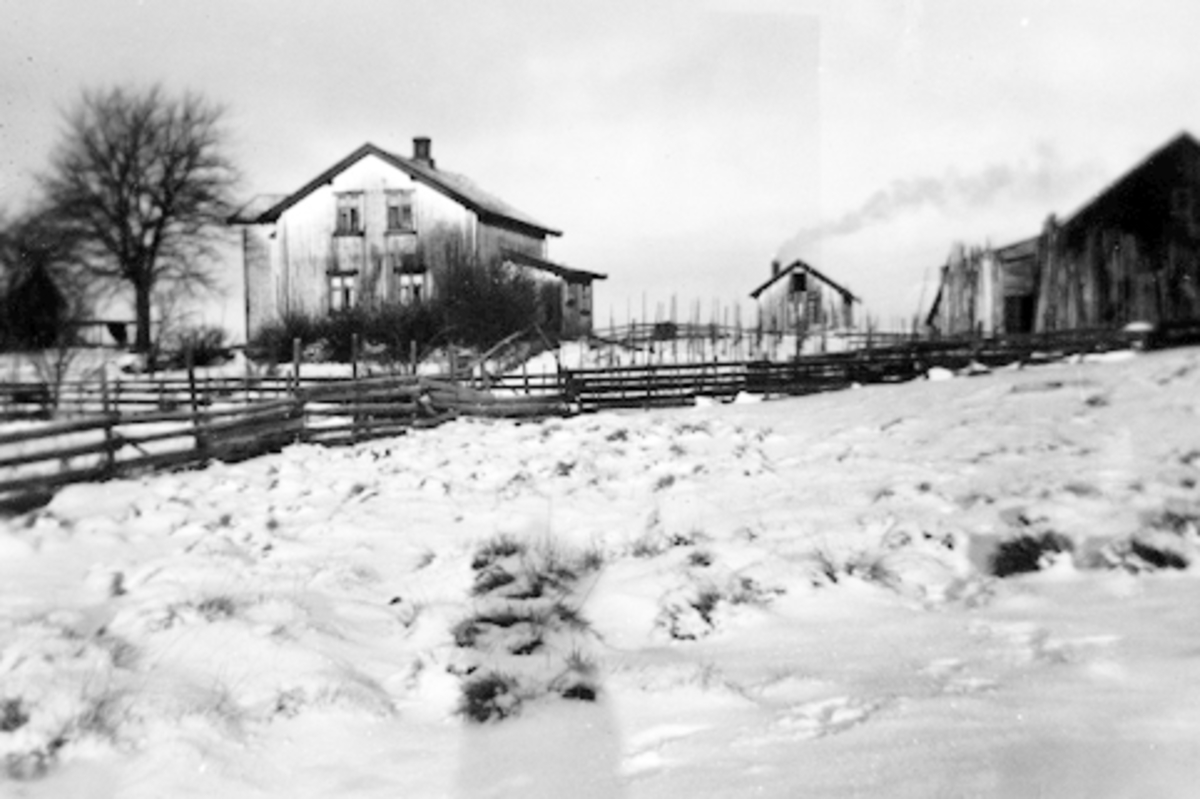 Anno Domkirkeodden, HEGGELUND I STANGE, FØR 1950. SKIGARD, GJERDE.