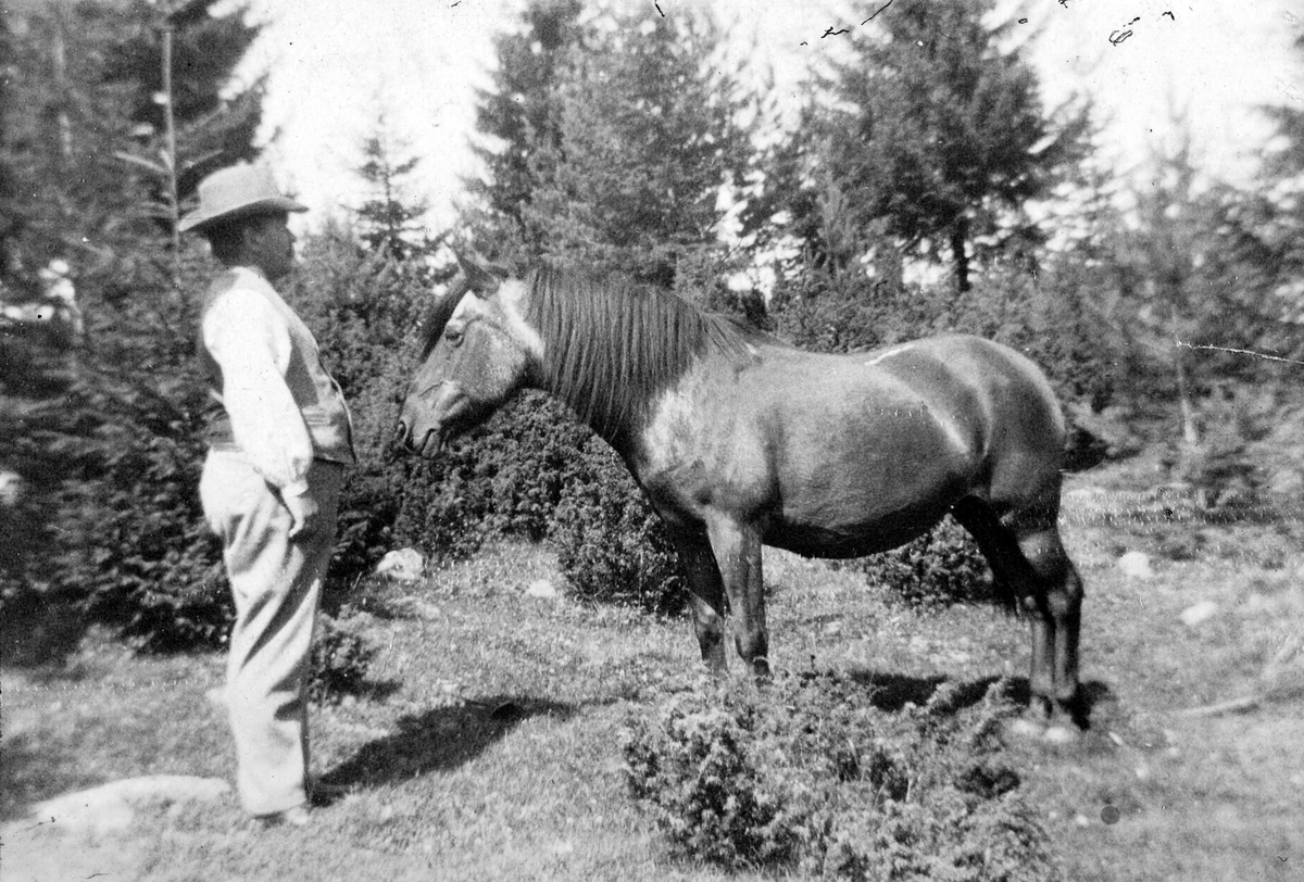 Ukjent, Albert Sørli, sammen med hest. Albert Sørli var ordfører i Stange 1917-1918.