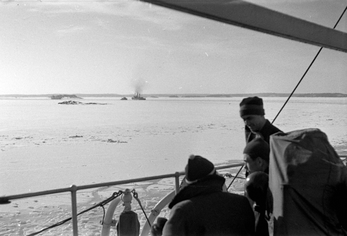 Adolf Skjegstad, ASK-00990