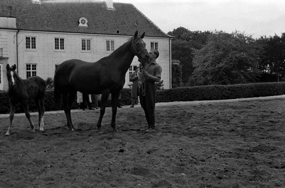 Adolf Skjegstad, ASK-01121