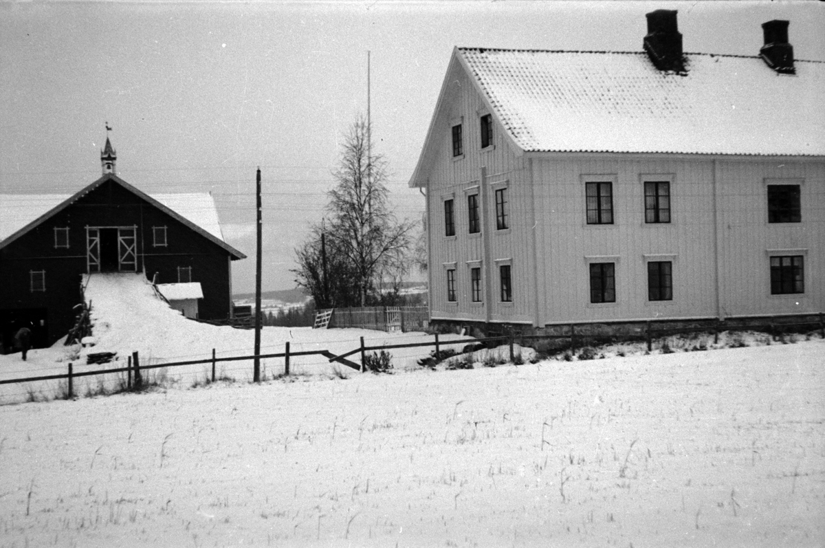 Adolf Skjegstad, ASK-01191