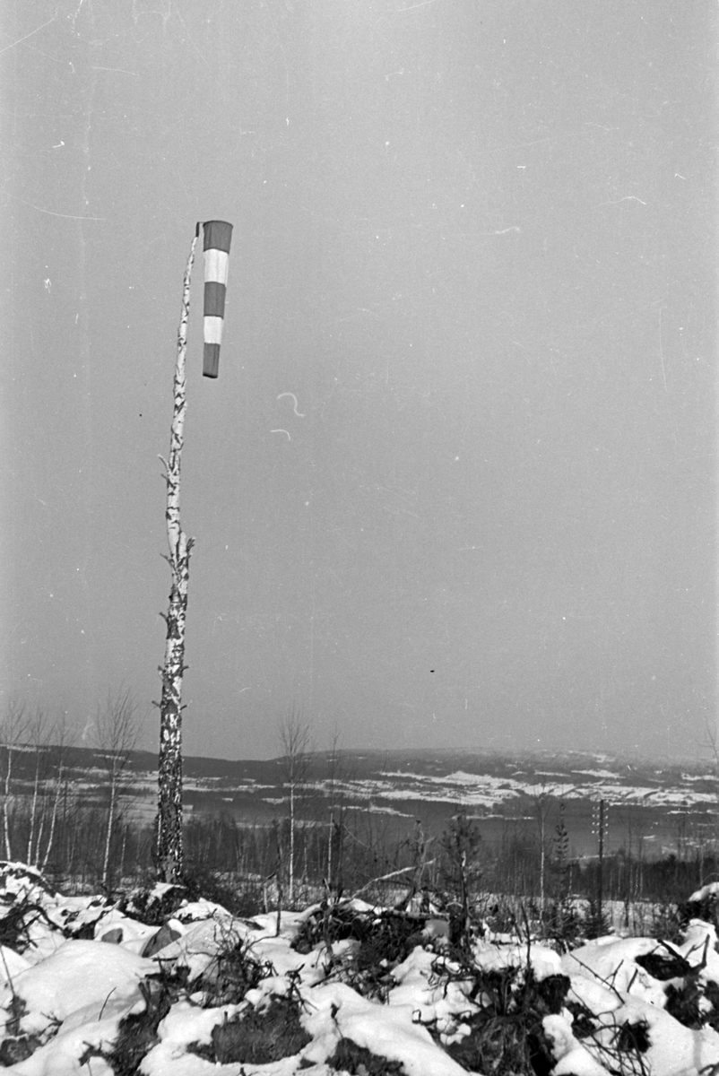 Adolf Skjegstad, Bjørge i Furnes. 1930-tallet.