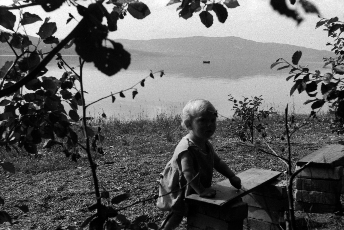 Adolf Skjegstad, ASK-01468