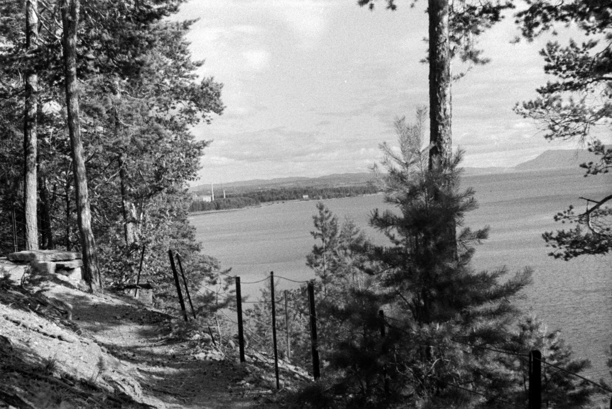 Adolf Skjegstad, FURUBERGET, UTSIKT MJØSA, HAMAR.