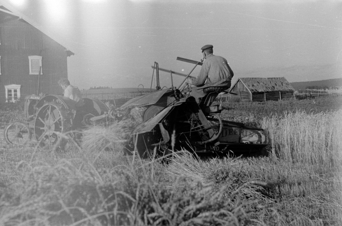 Adolf Skjegstad, SKURONN, TRAKTOR MED SLEPETRESKER, UTHUS GÅRD, ROMEDAL.