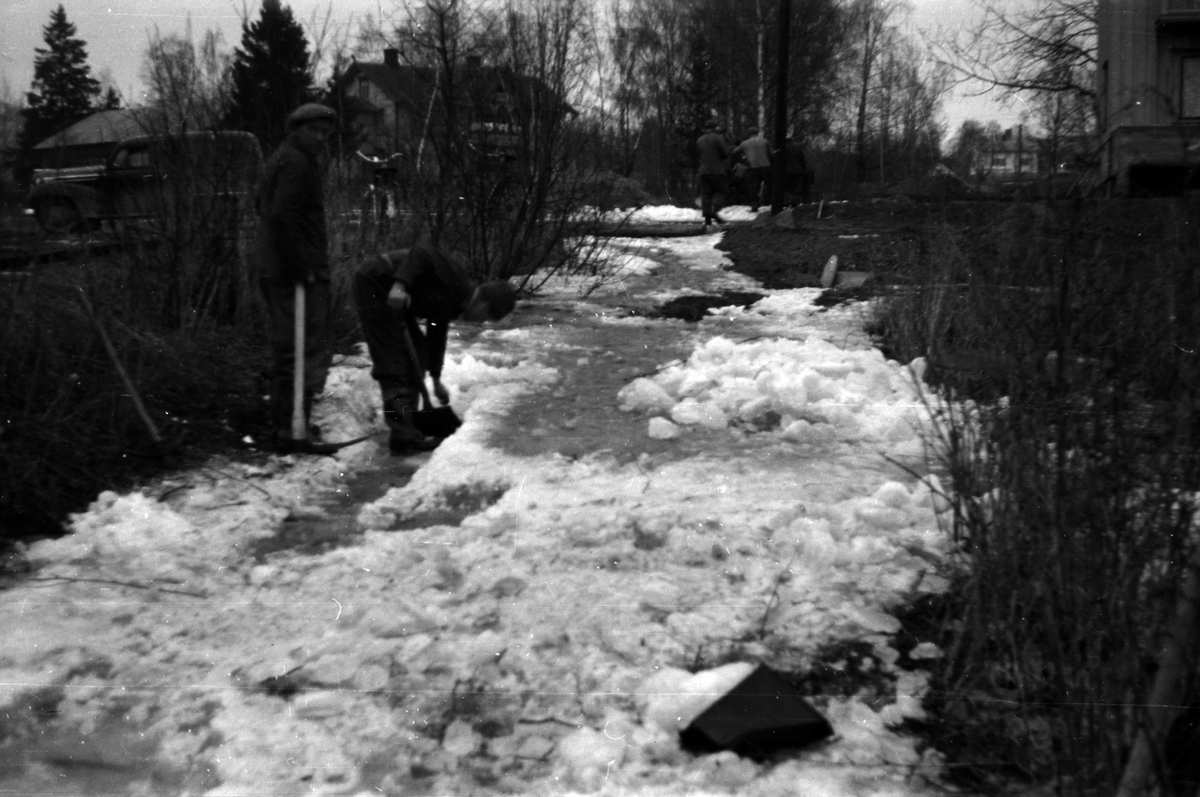 Adolf Skjegstad, ASK-01908