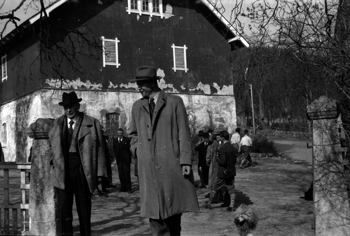 Adolf Skjegstad, ASK-01917