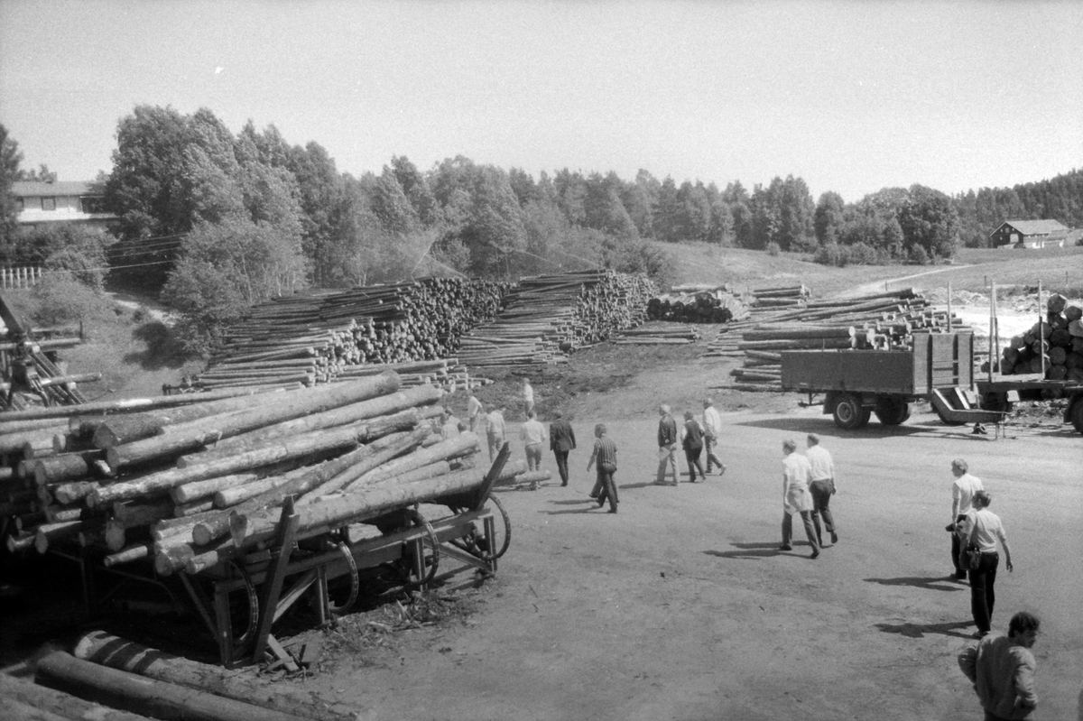 Adolf Skjegstad, ASK-01928