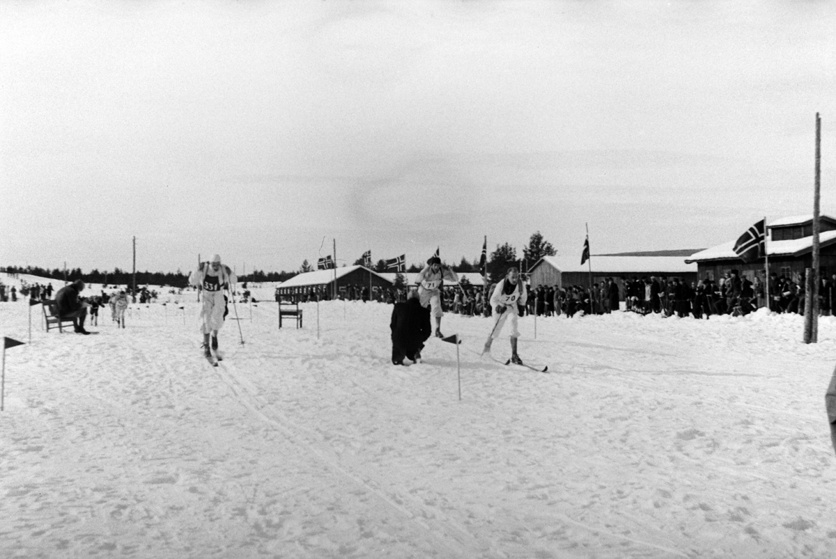 Adolf Skjegstad, LANGRENNSLØPER, UKJENT, SKISPORT. LANGRENNSTADION.