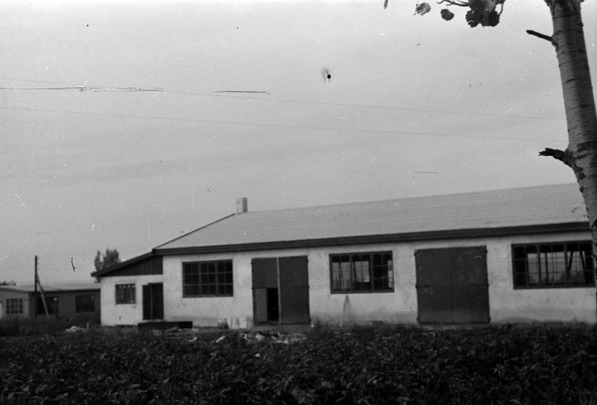 Adolf Skjegstad, ASK-02211