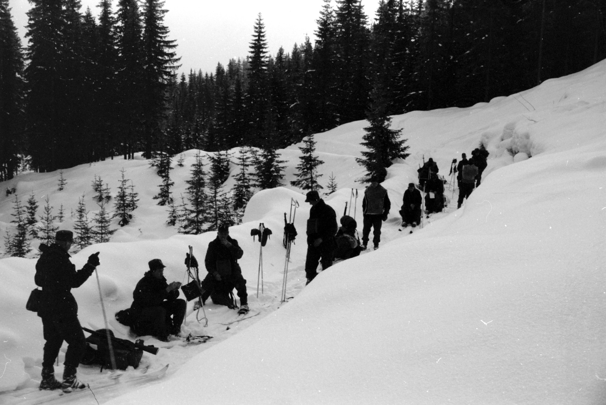 Adolf Skjegstad, ASK-02256