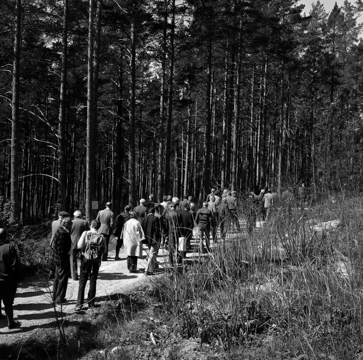Adolf Skjegstad, ASK-02534
