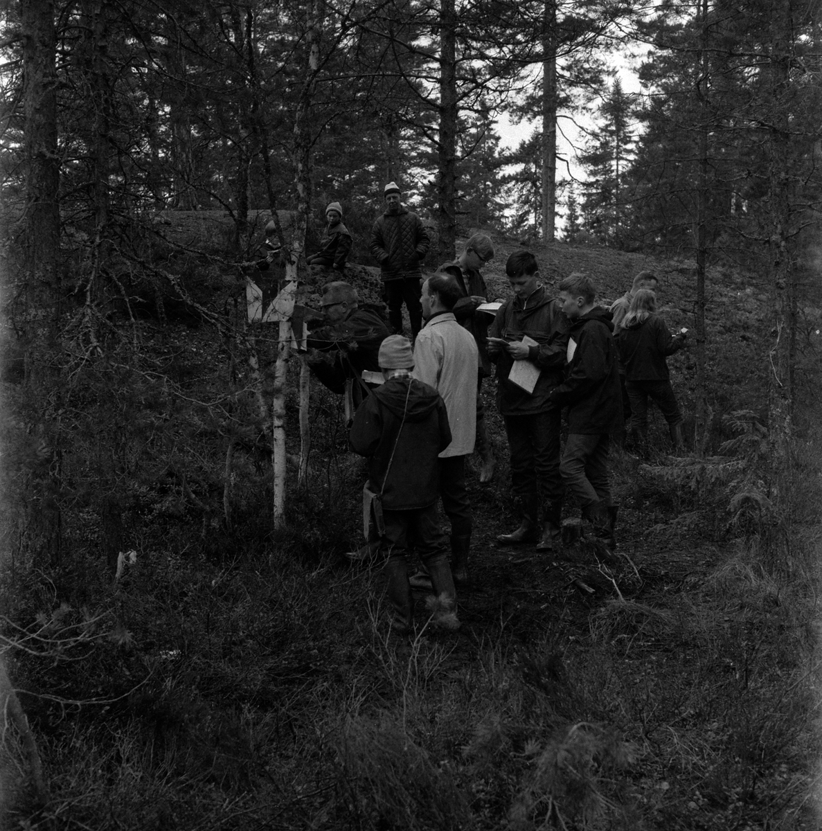 Adolf Skjegstad, ORIENTERINGSLØP
