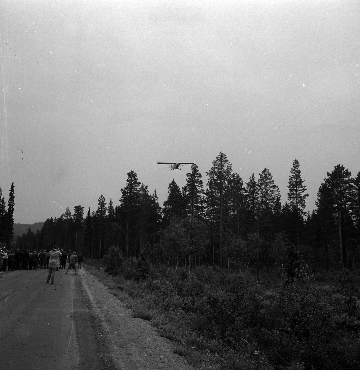 Adolf Skjegstad, ASK-02603