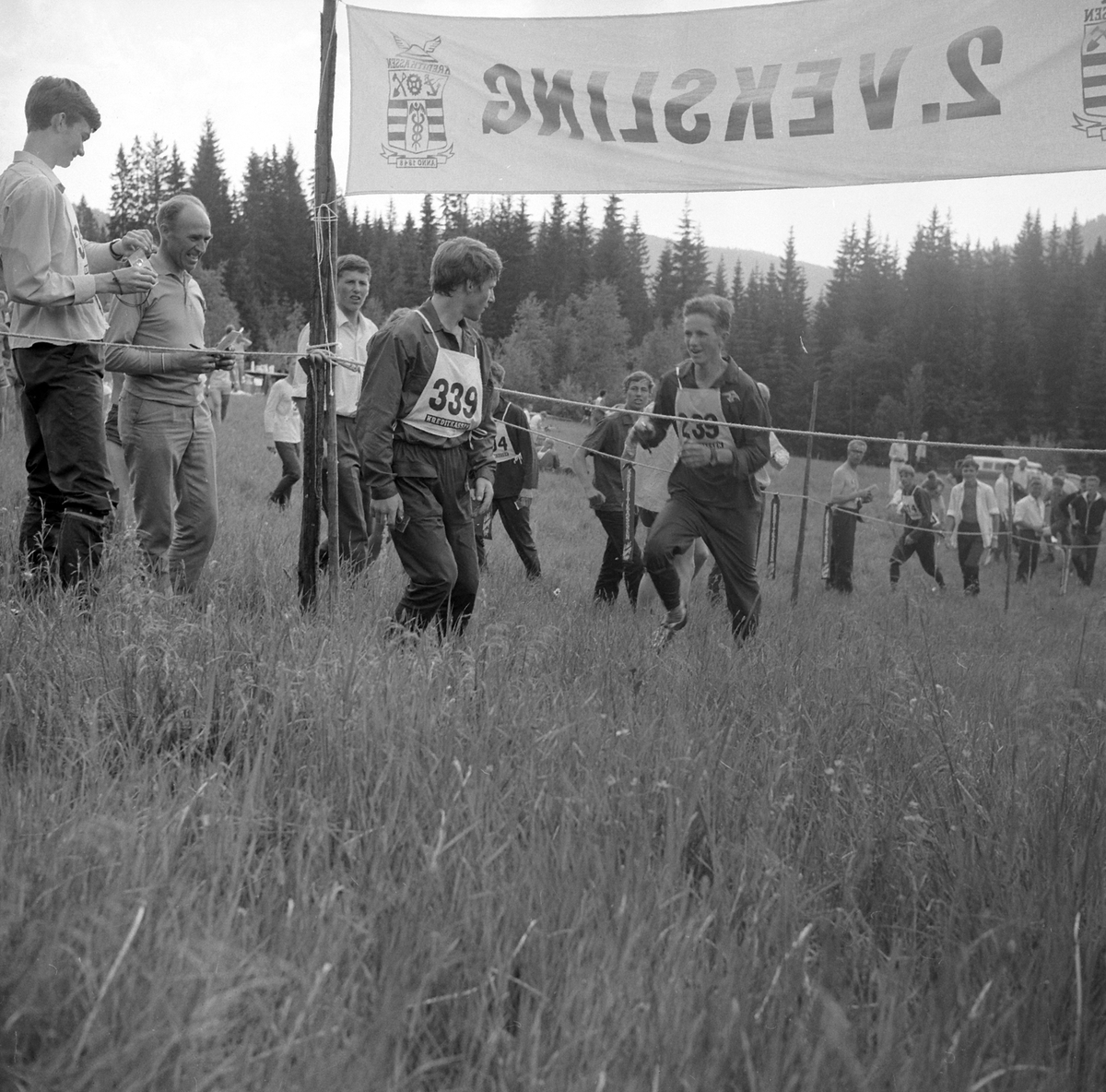 Adolf Skjegstad, ORIENTERINGSLØP, STAFETT, VEKSLING.