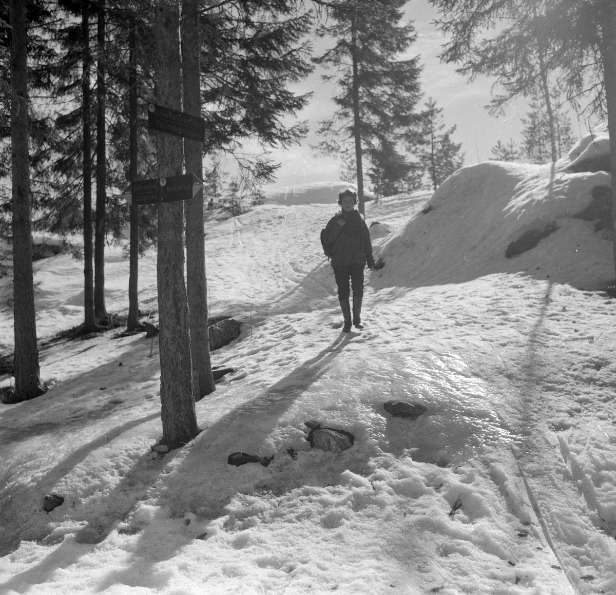 Adolf Skjegstad, ASK-02660