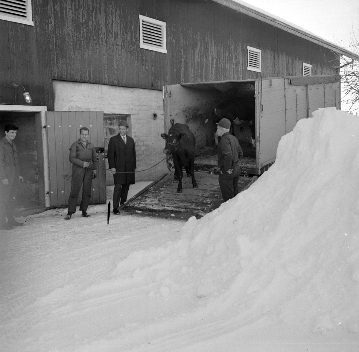 Adolf Skjegstad, ASK-02873
