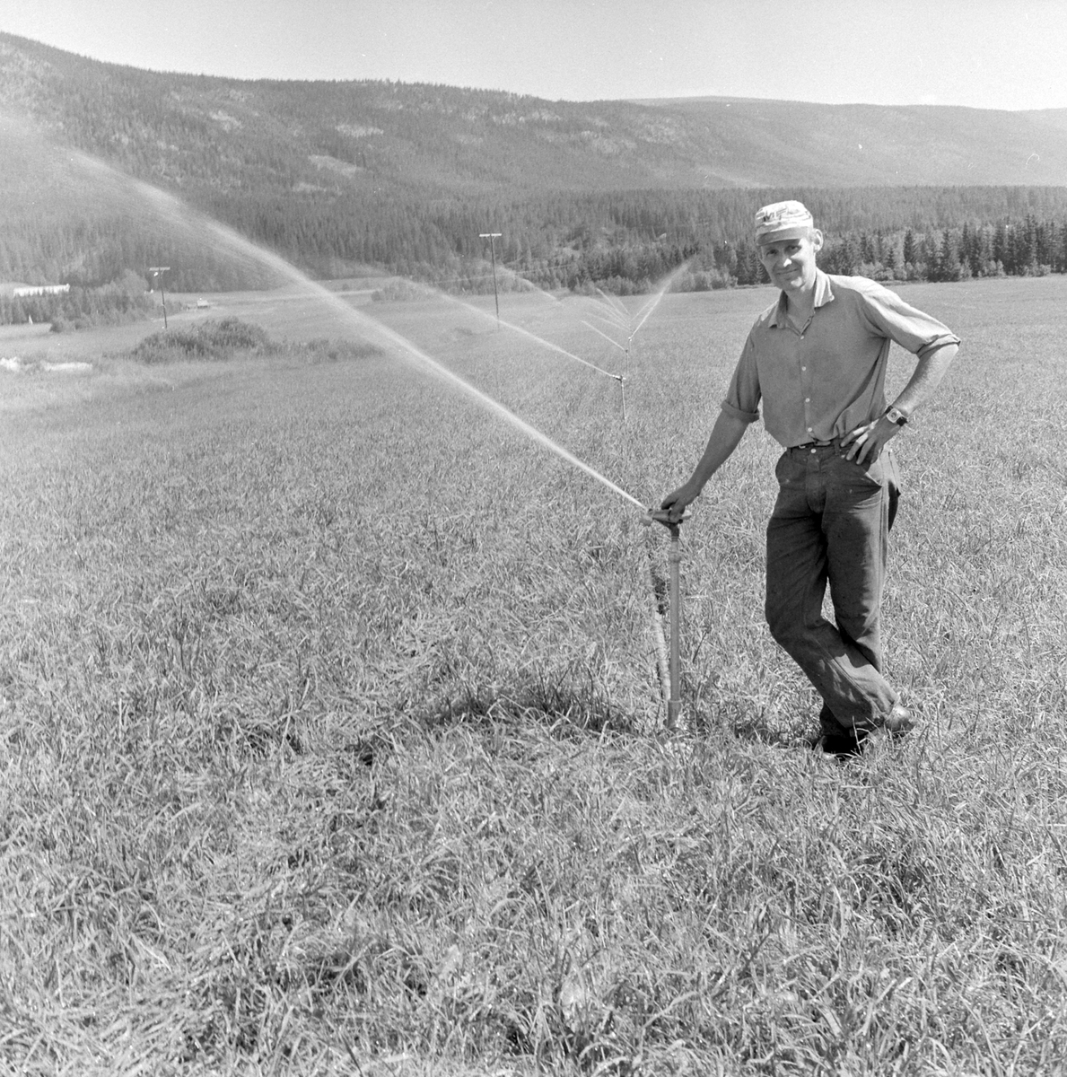 Adolf Skjegstad, ASK-02892