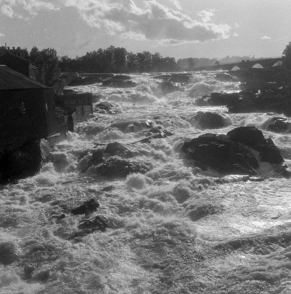 Adolf Skjegstad, Hønefossen i Hønefoss.