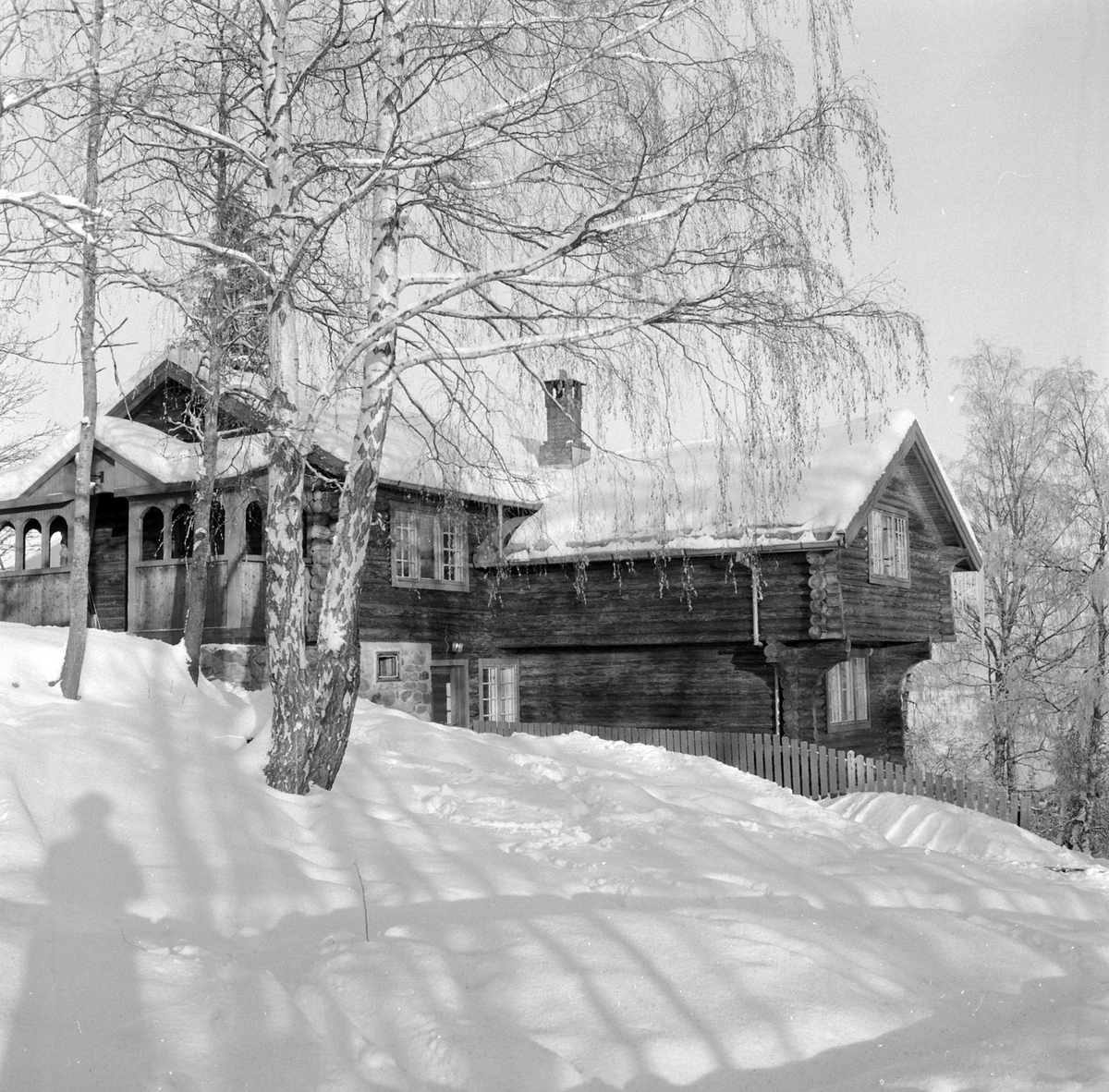 Adolf Skjegstad, ASK-02951