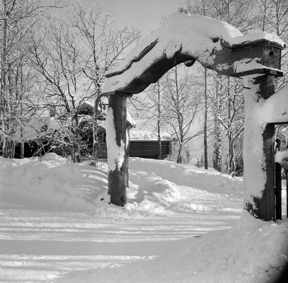 Adolf Skjegstad, ASK-02954