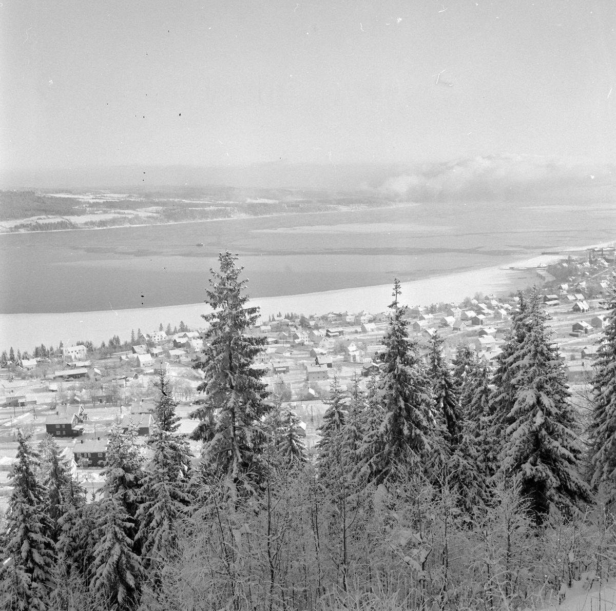 Adolf Skjegstad, ASK-02955