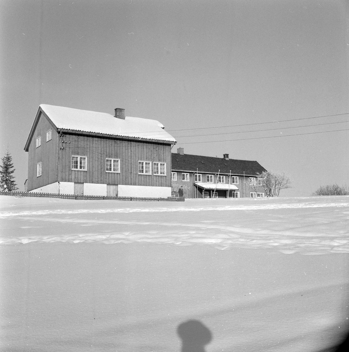 Adolf Skjegstad, ASK-02959