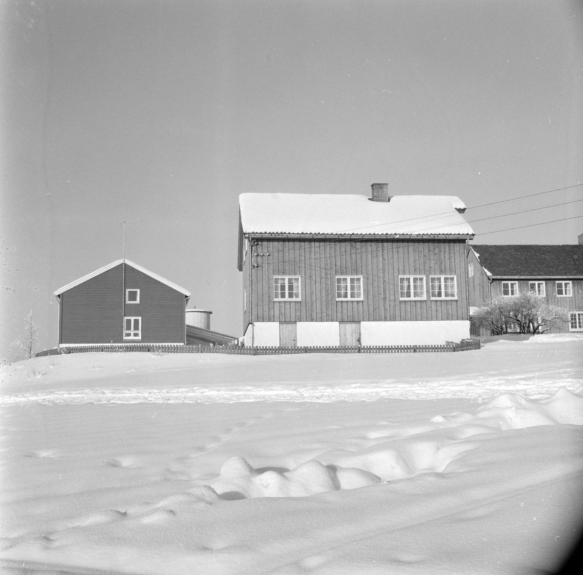 Adolf Skjegstad, ASK-02960