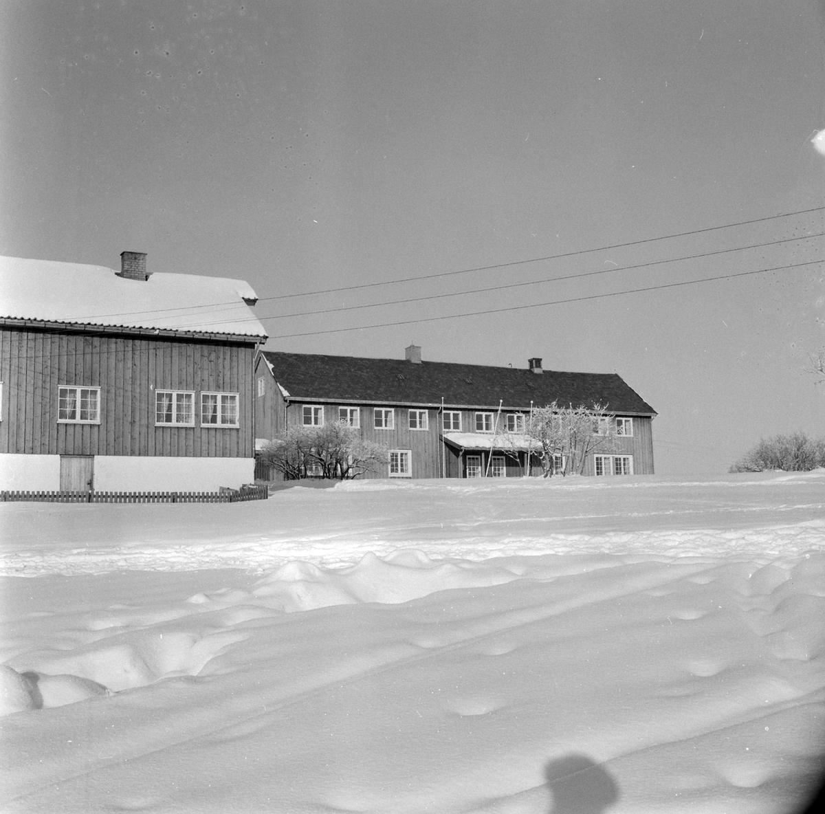 Adolf Skjegstad, ASK-02963