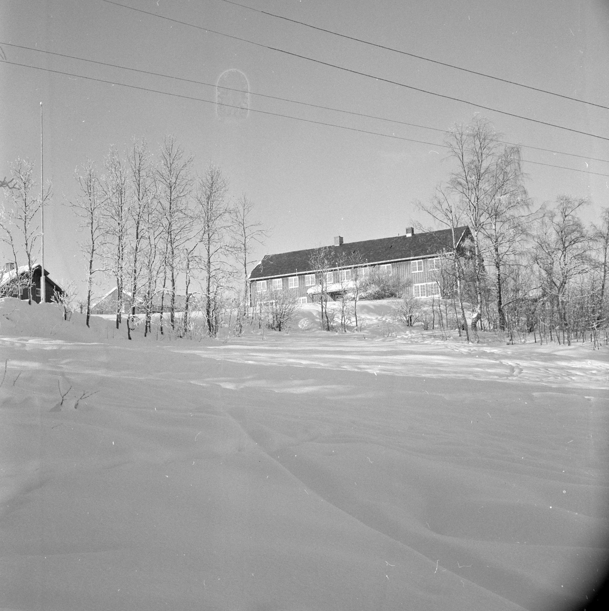 Adolf Skjegstad, ASK-02966
