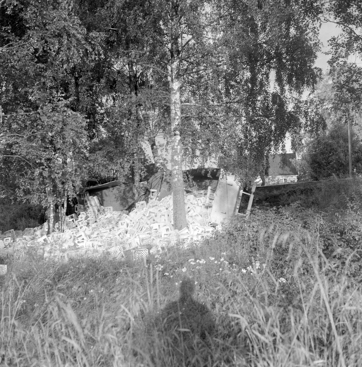 Adolf Skjegstad, ASK-02989