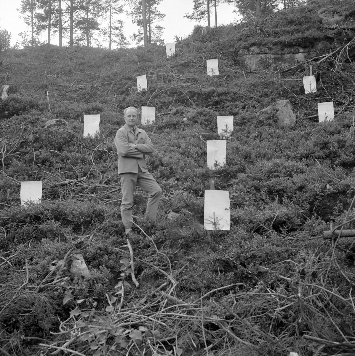 Adolf Skjegstad, ASK-02999
