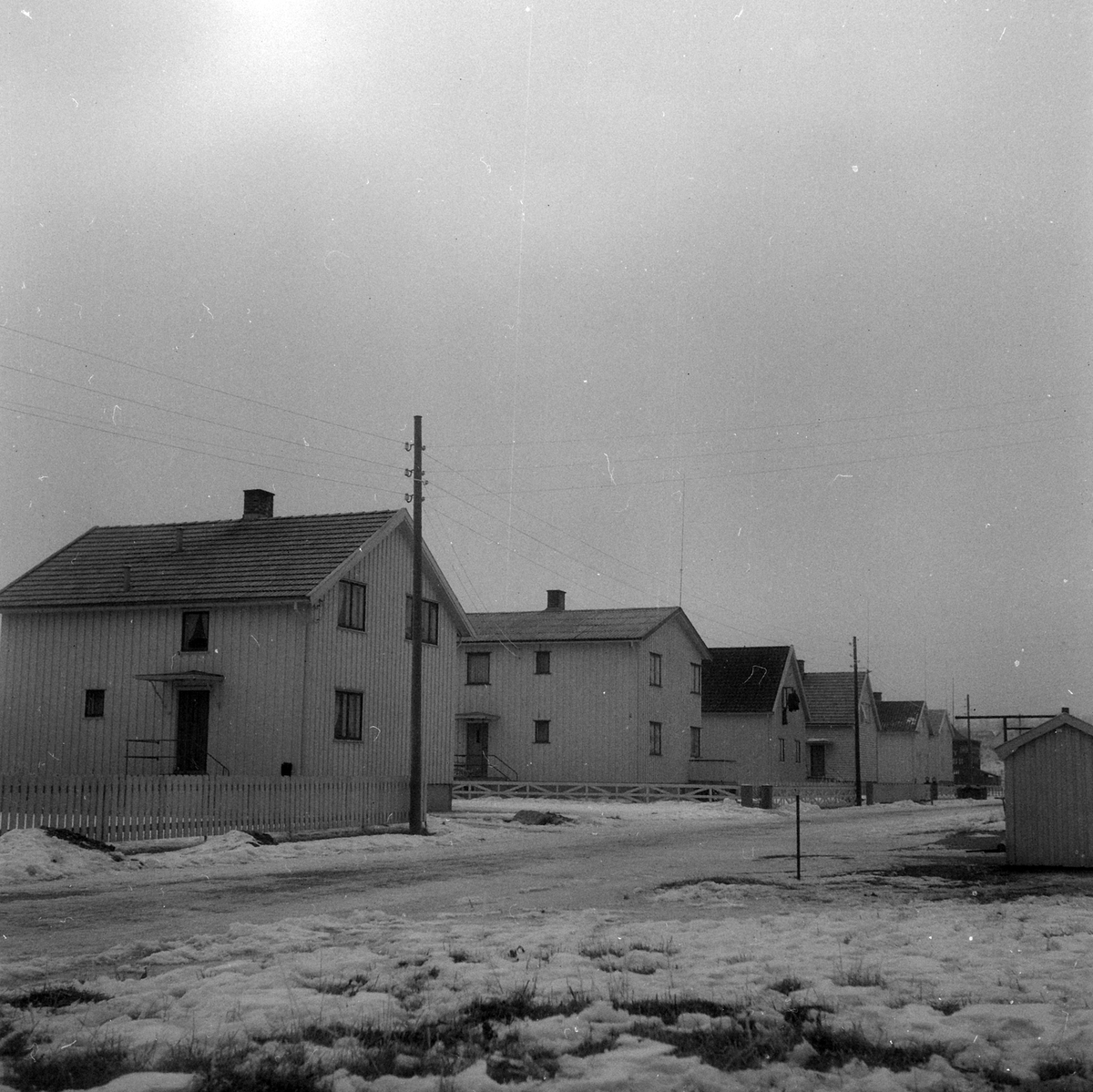 Adolf Skjegstad, ASK-03069