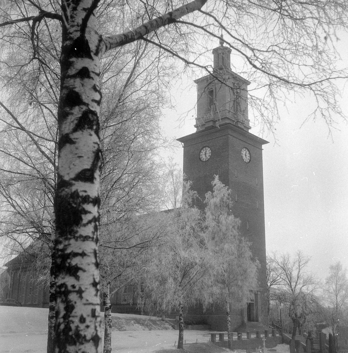 Adolf Skjegstad, ASK-03089