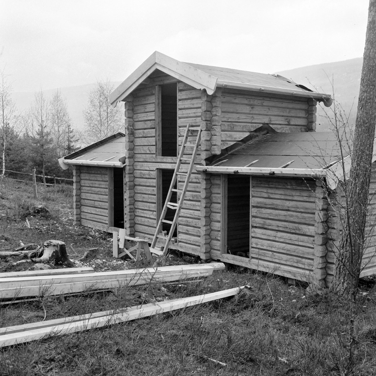 Adolf Skjegstad, ASK-03119