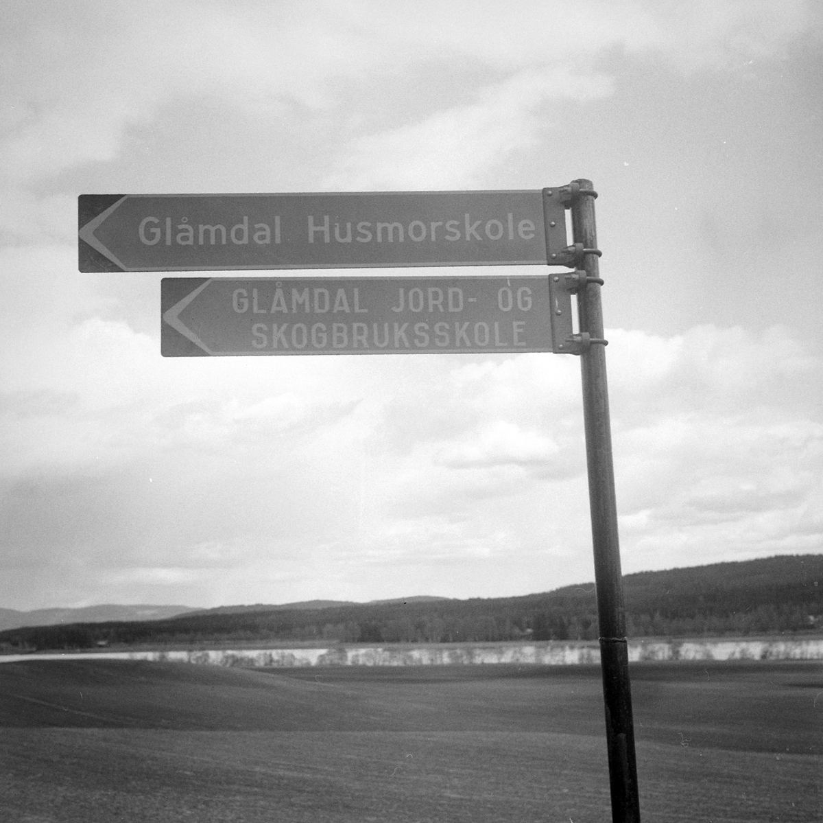 Adolf Skjegstad, ASK-03127